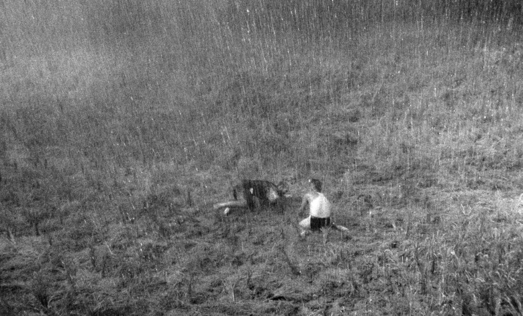 雨の詩